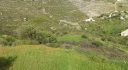 Property ID L321
