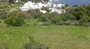 Property ID L308B