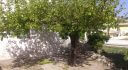 Property ID L315