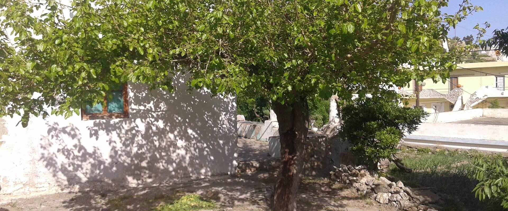 Property ID L315