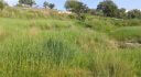 Property ID L327