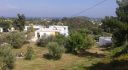 Property ID L337
