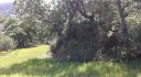 Property ID L338