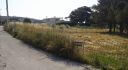Property ID L358