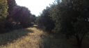 Property ID L410
