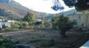 Property ID L431