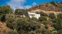 Property ID L295