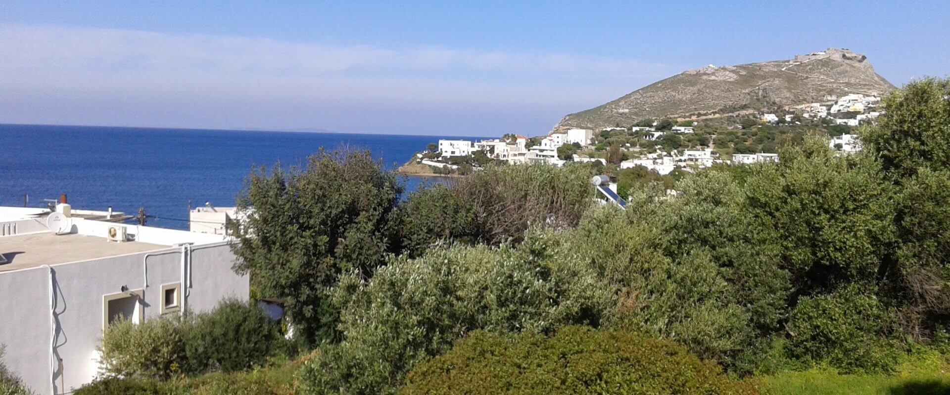 Property ID L346