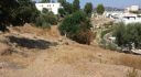Property ID L474