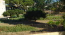 Property ID L404