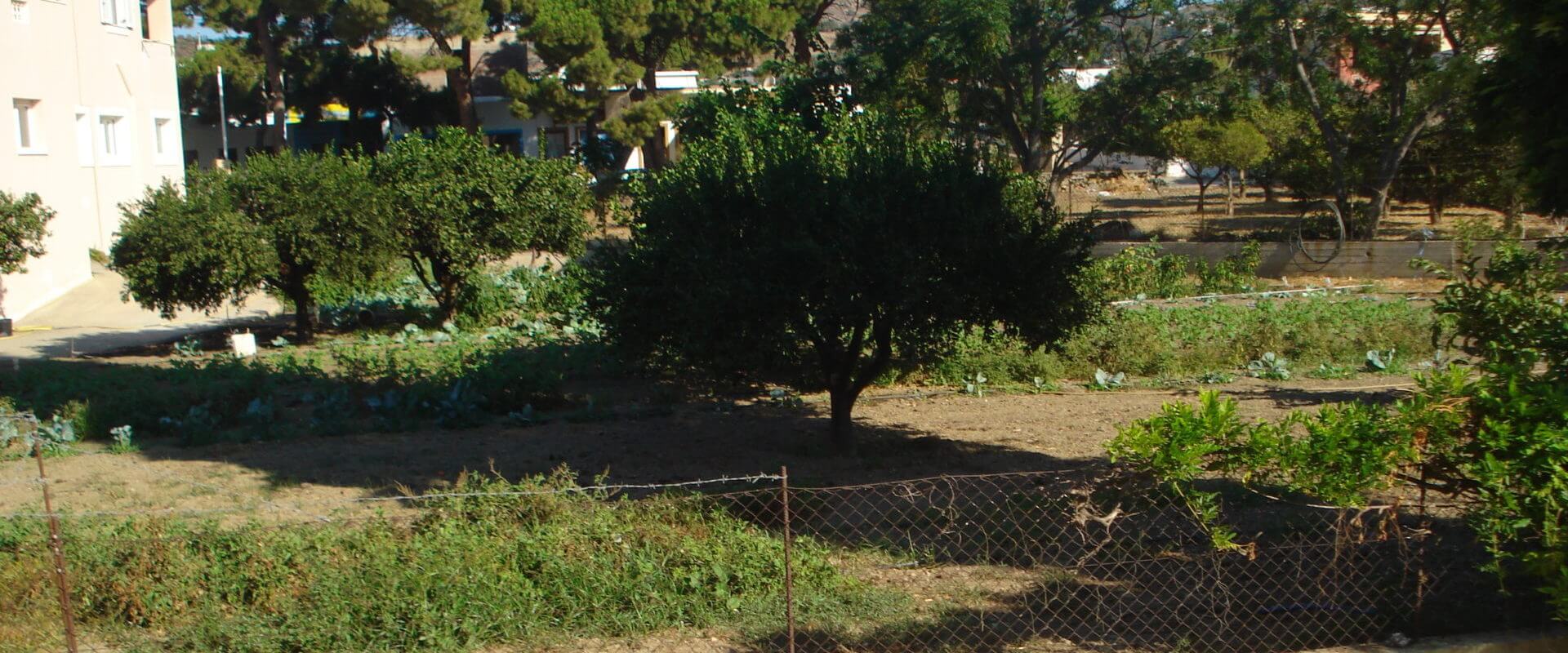 Property ID L404