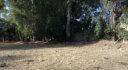 Property ID L446
