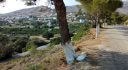 Property ID L461
