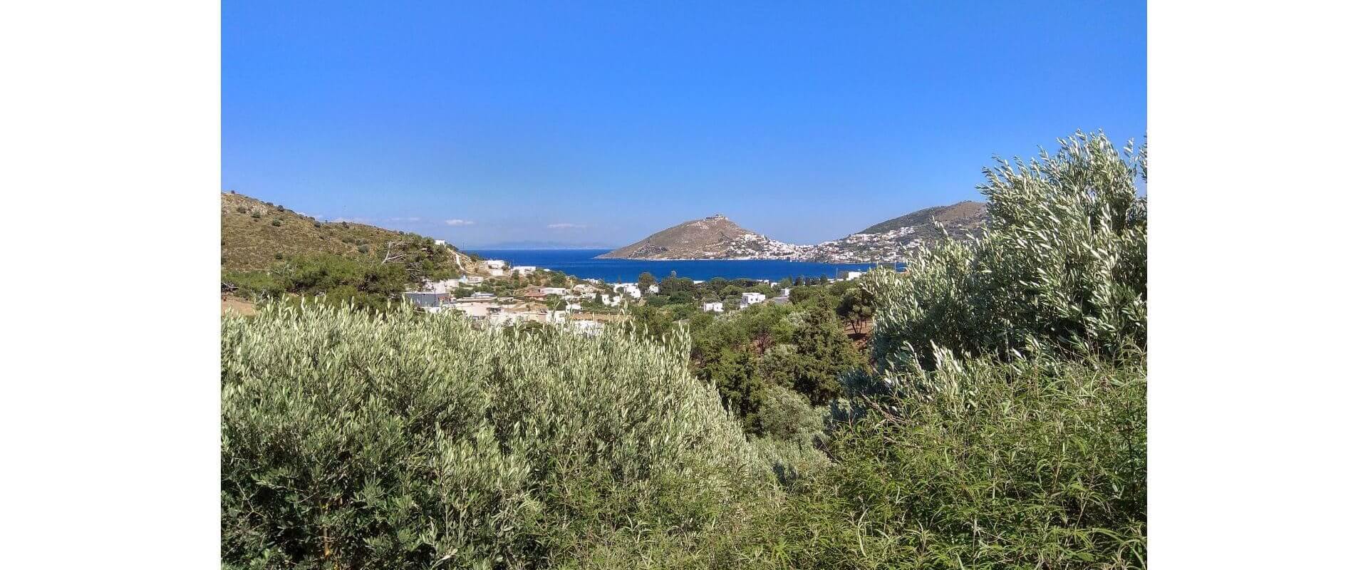 Property ID L387
