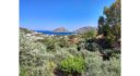 Property ID L387
