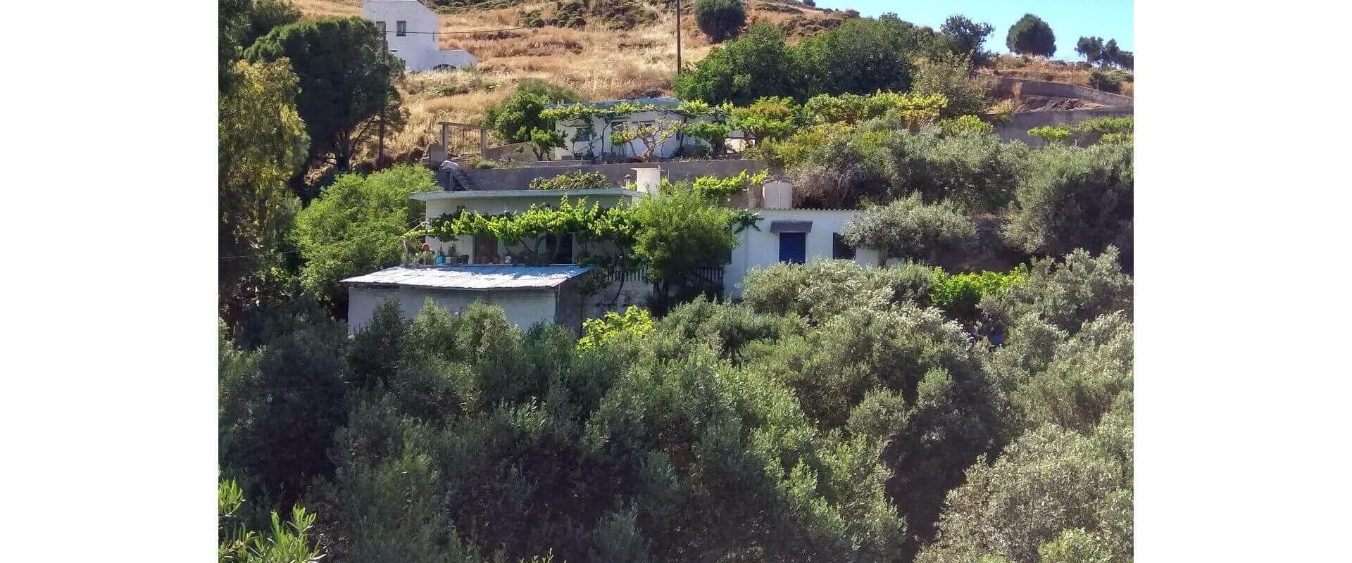 Property ID L387