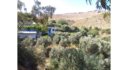 Property ID L387