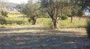Property ID L507
