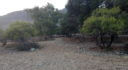 Property ID L501