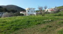 Property ID L517