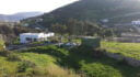 Property ID L517