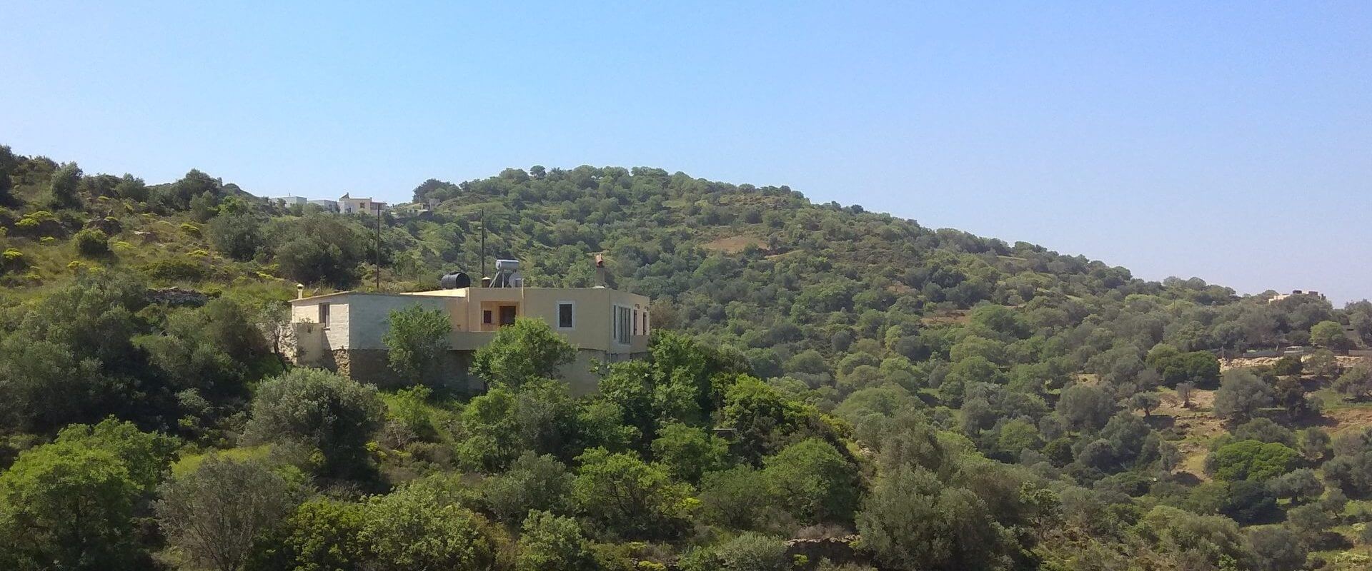 Property ID L532