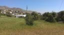 Property ID L542
