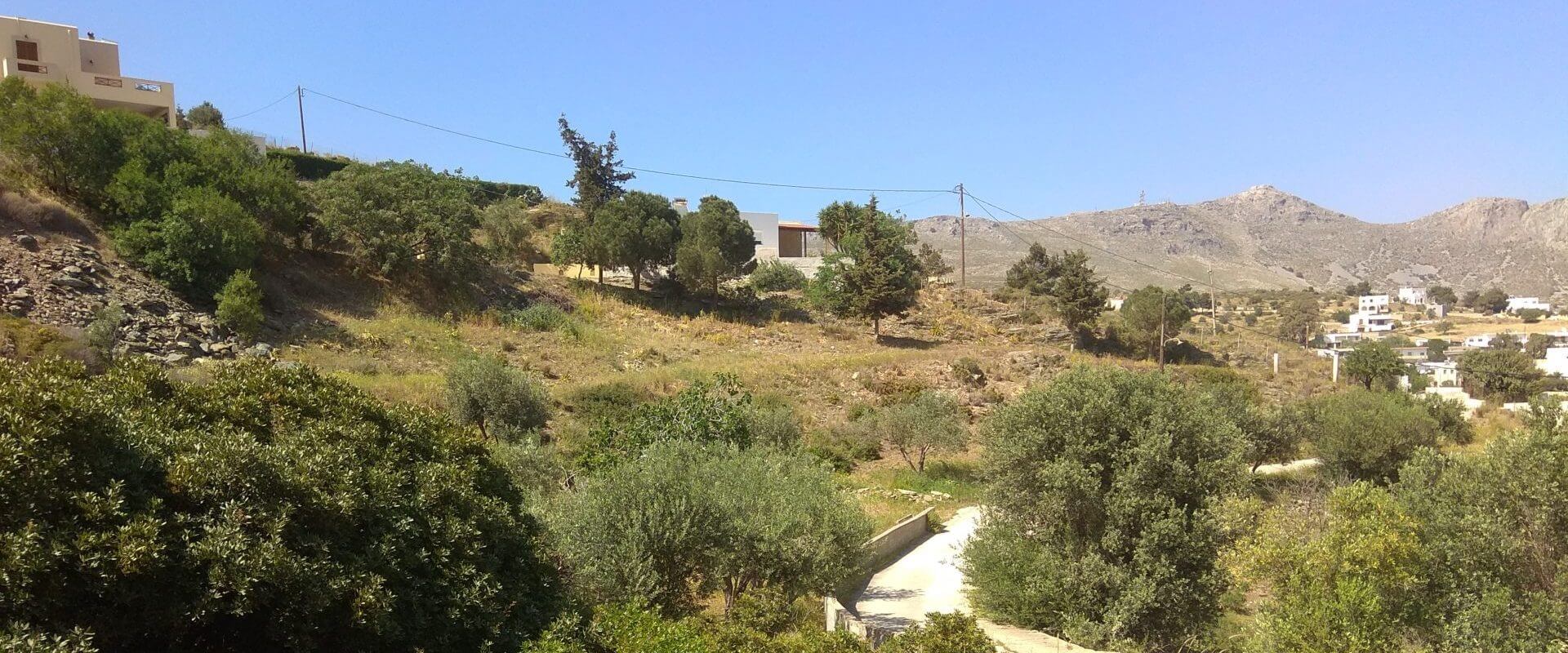 Property ID L545