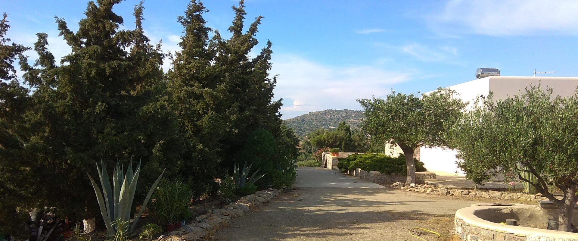 Property ID L551