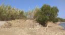 Property ID L556