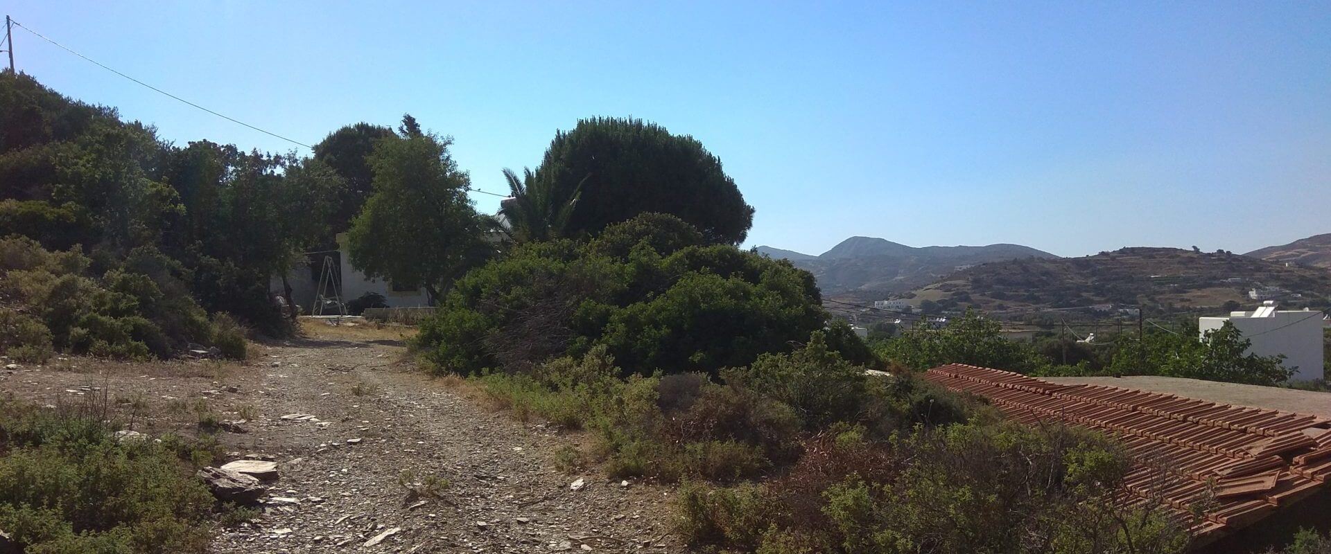Property ID L562