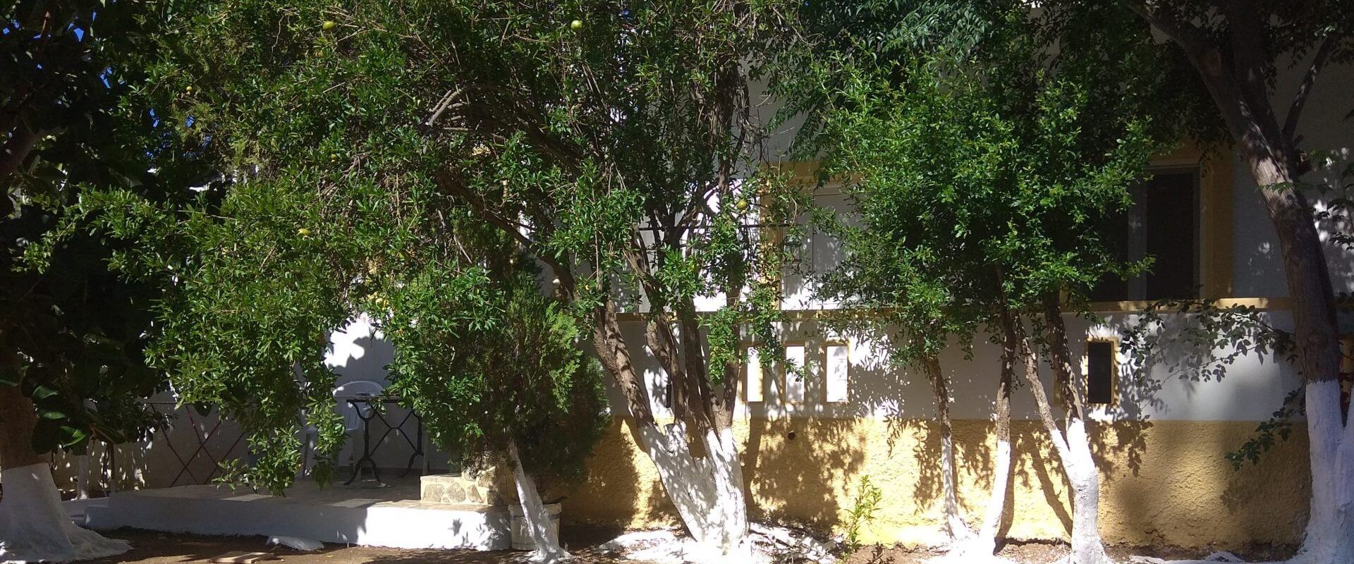 Property ID L566