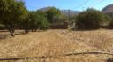 Property ID L576