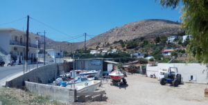 Xerocampos leros
