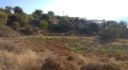 Property ID L585