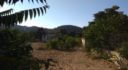Agios Theologos Leros L601