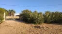 Agios Theologos Leros L601