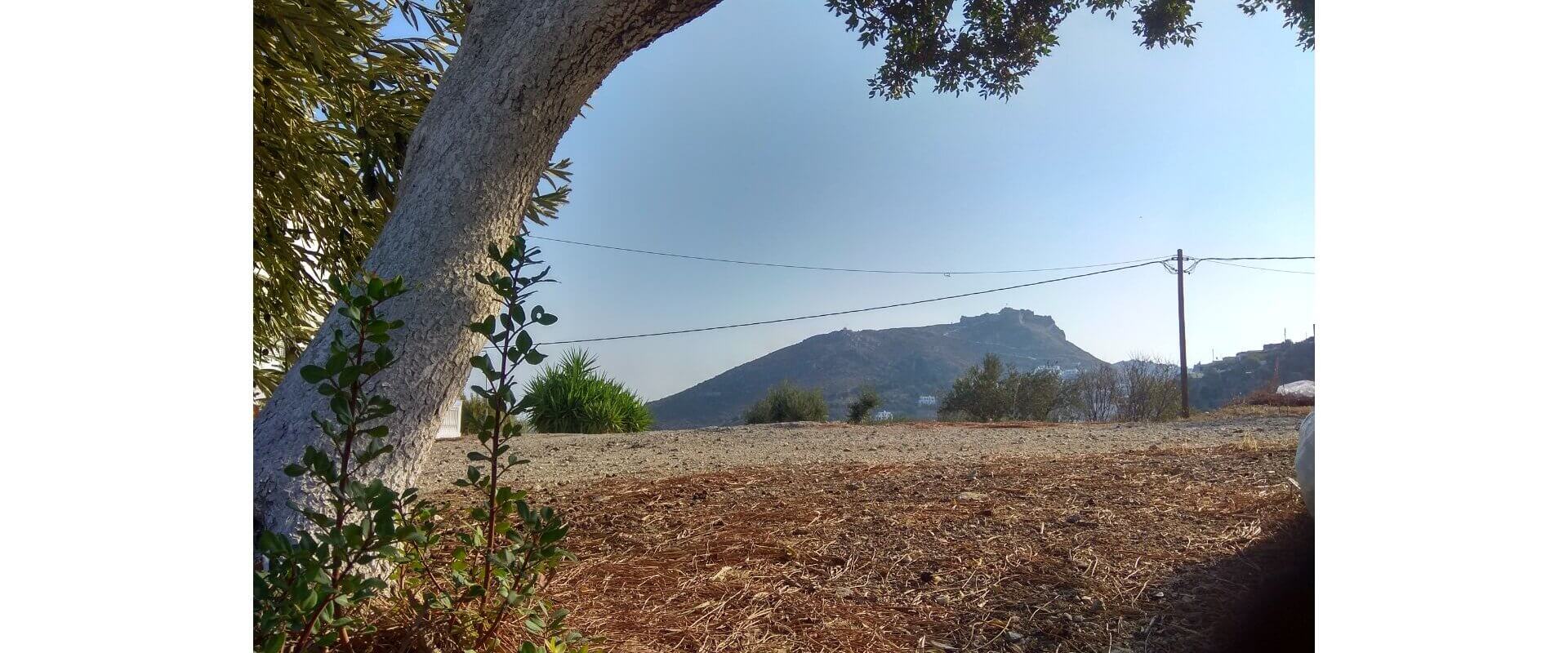 Property ID L504