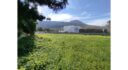 Seaside plot in Leros island L367