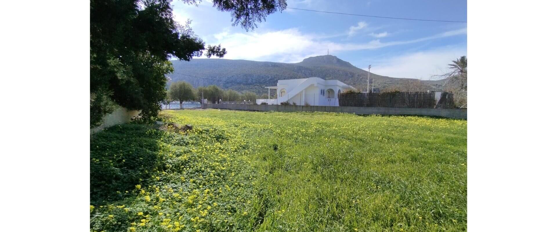 Seaside plot in Leros island L367