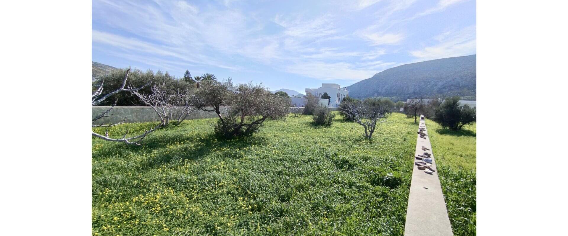 Seaside plot in Leros island L367