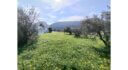 Seaside plot in Leros island L367