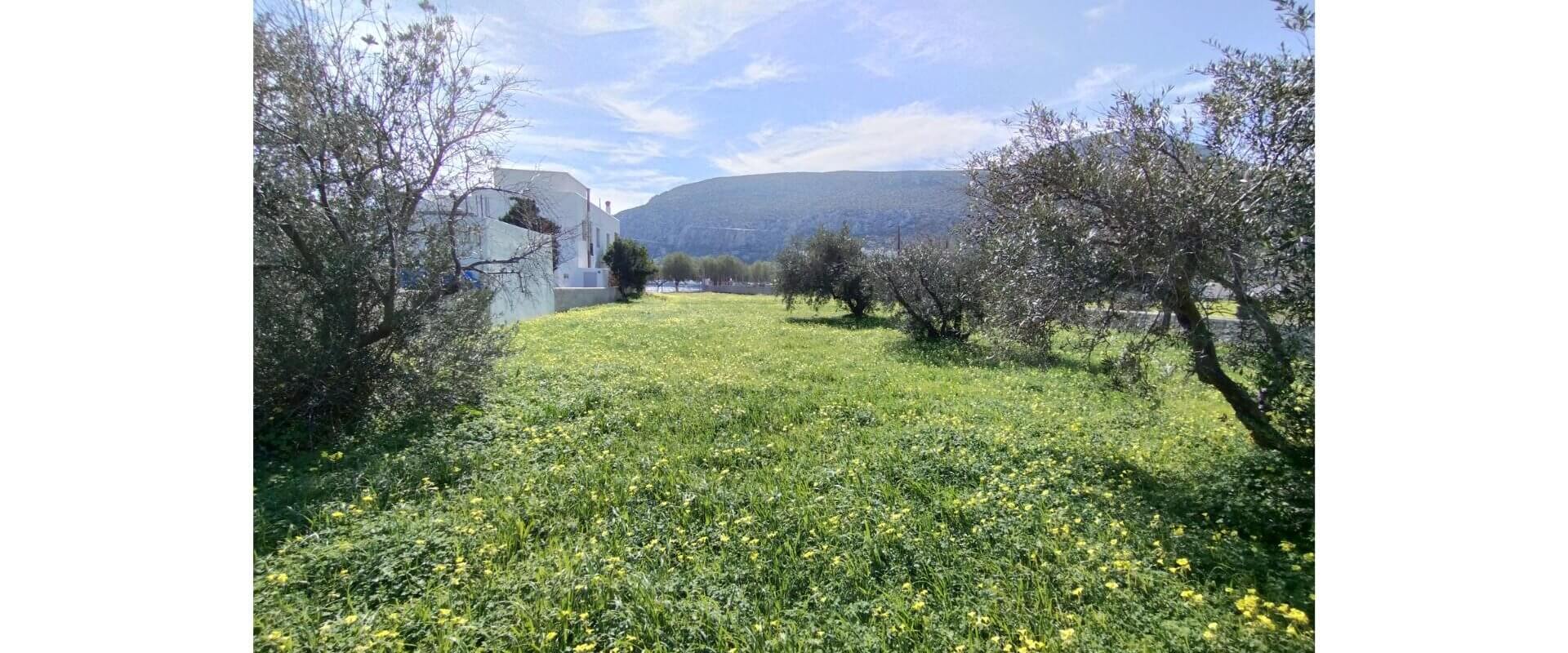 Seaside plot in Leros island L367