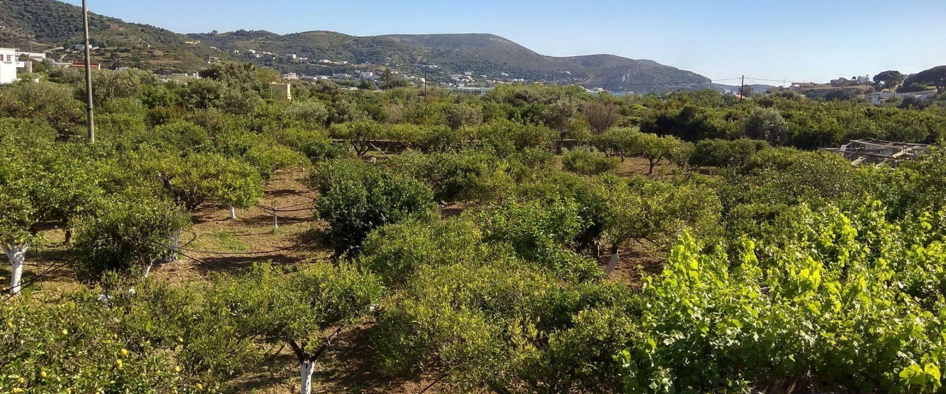 Traditional house in Gourna Leros L 626