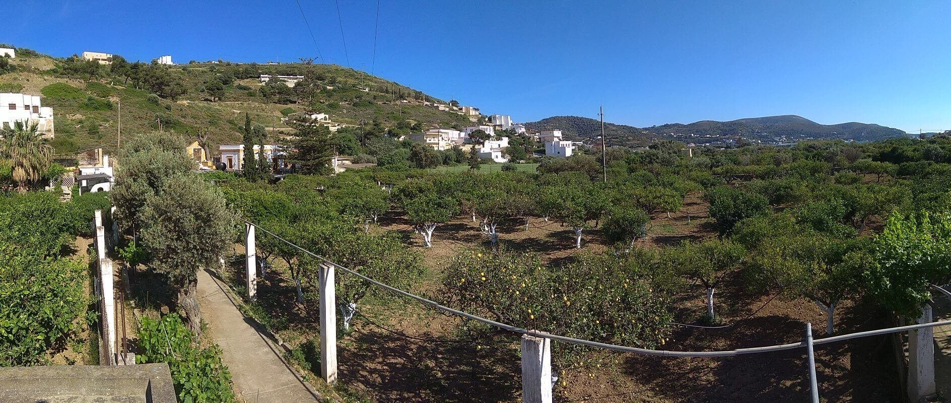 Traditional house in Gourna Leros L 626