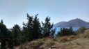 Panagies Leros L 642
