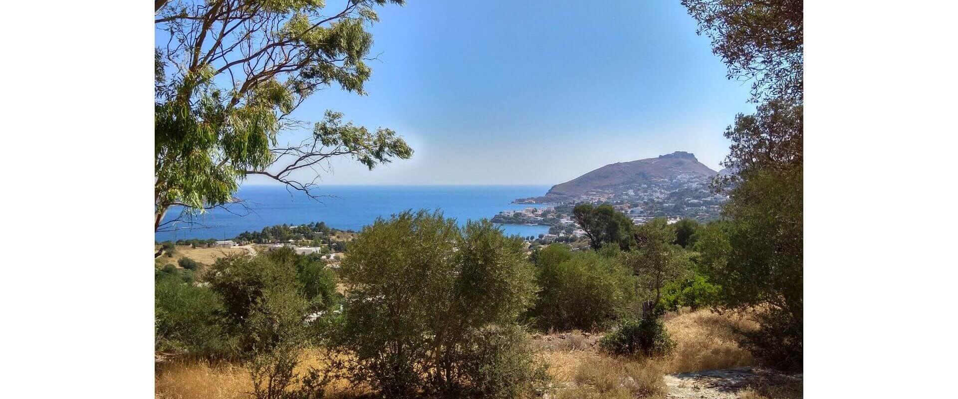 Land in Crithoni Leros L 648