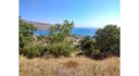 Land in Crithoni Leros L 648