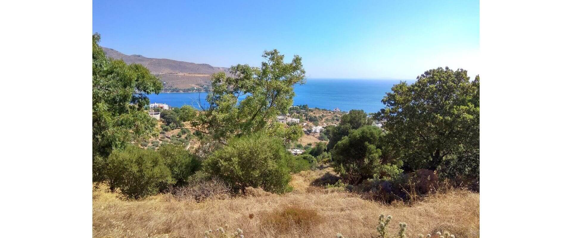 Land in Crithoni Leros L 648