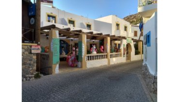 Pandeli Leros Seaside property for sale L 665
